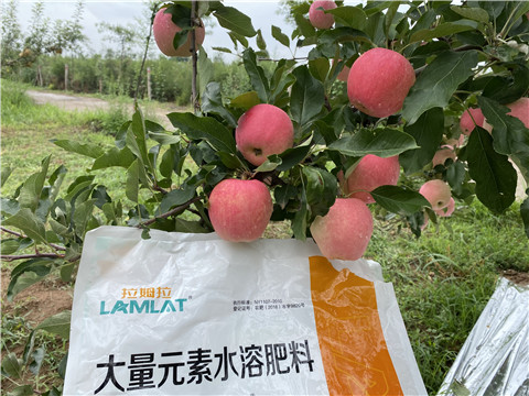 水溶肥，翠姆，拉姆拉