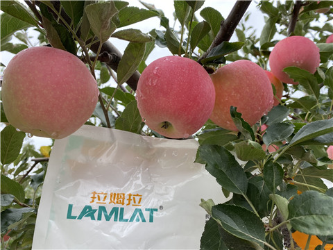 水溶肥，翠姆，拉姆拉