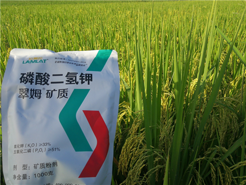 葉面肥，水稻灌漿肥，拉姆拉