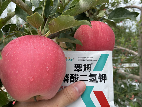 高鉀水溶肥，磷酸二氫鉀，拉姆拉，翠姆