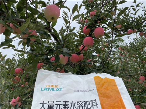 進口水溶肥品牌，拉姆拉，翠姆