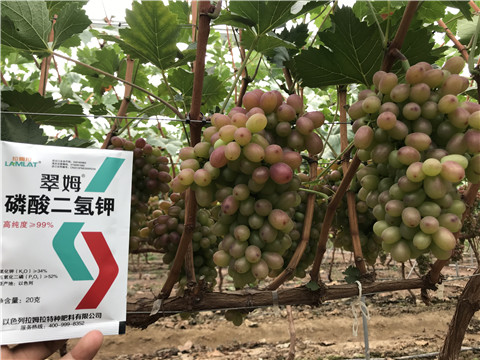 進口水溶肥，拉姆拉