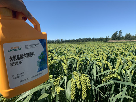 磷酸二氫鉀，拉姆拉，翠姆