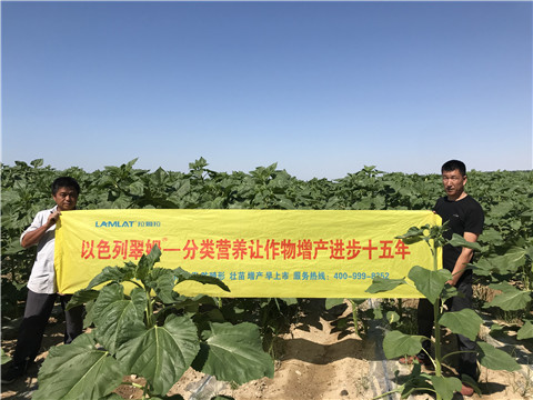 進(jìn)口水溶肥，拉姆拉