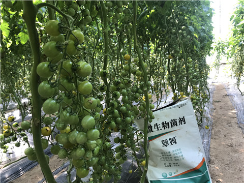 微生物菌劑，磷酸二氫鉀，翠姆，拉姆拉