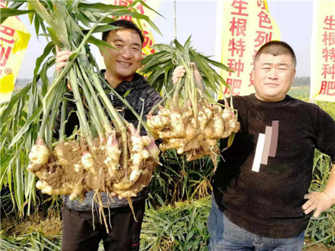 水溶肥，翠姆，拉姆拉