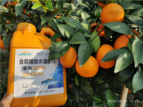 水溶肥，翠姆，拉姆拉