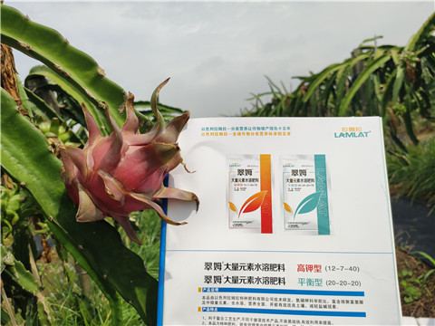 進(jìn)口水溶肥，拉姆拉，翠姆