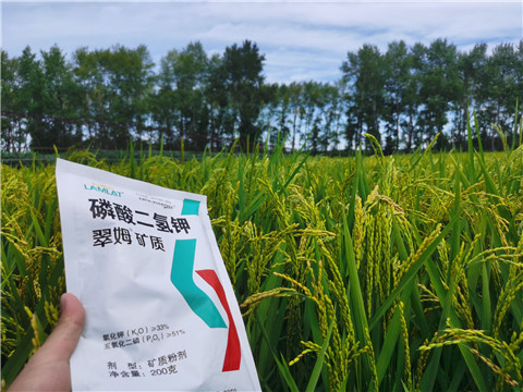 磷酸二氫鉀，拉姆拉，翠姆