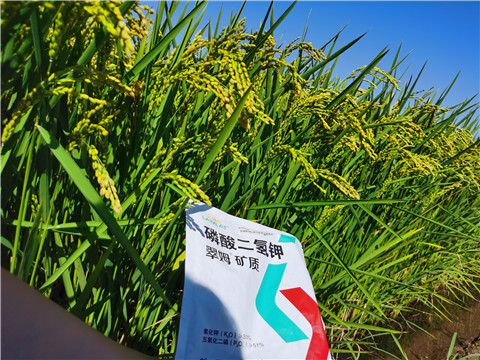 水溶肥，磷酸二氫鉀