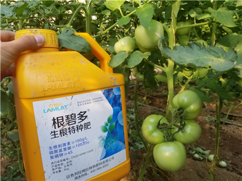 葉面肥，磷酸二氫鉀，微生物菌劑，翠姆，拉姆拉