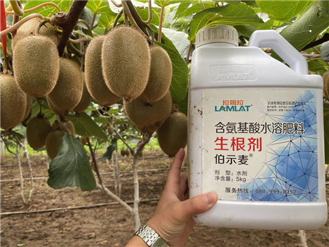 水溶肥，生根劑，微生物菌劑，伯示麥，拉姆拉