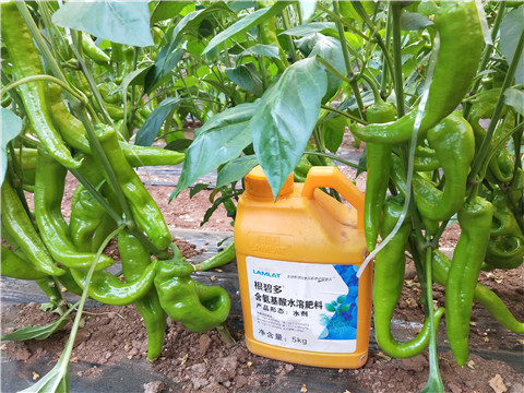 水溶肥，拉姆拉
