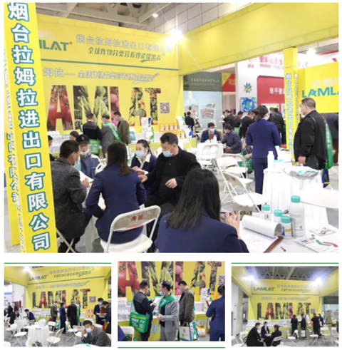水溶肥，拉姆拉，翠姆