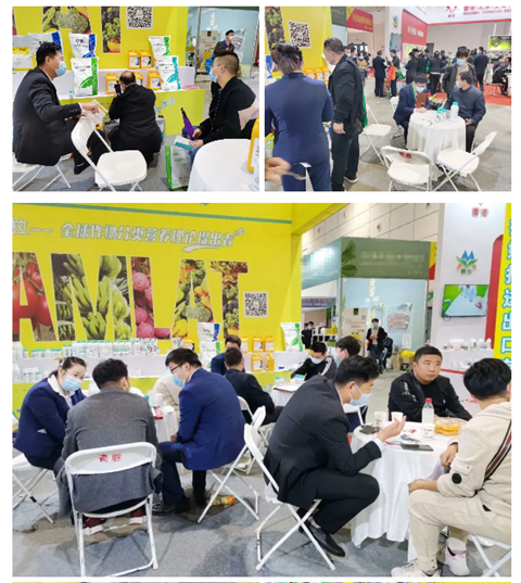 水溶肥，拉姆拉，翠姆