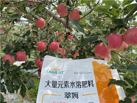 水溶肥，大量元素水溶肥，翠姆，拉姆拉