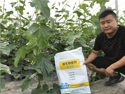 水溶肥，拉姆拉