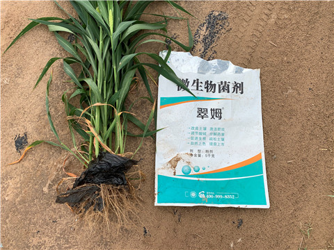 微生物菌劑，拉姆拉，翠姆