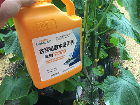 滴灌肥，拉姆拉，翠姆