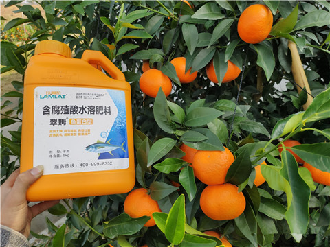 滴灌肥，拉姆拉，翠姆