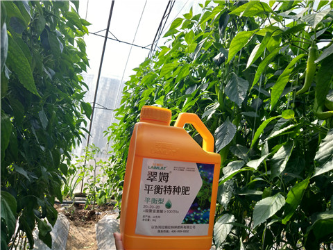 滴灌肥，拉姆拉，翠姆