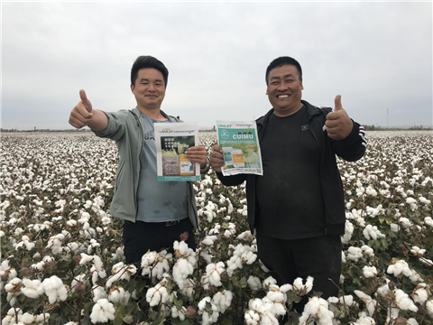 棉花，水溶肥，拉姆拉，翠姆