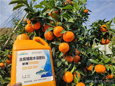 水溶肥，拉姆拉，翠姆