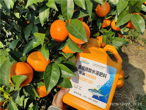 水溶肥，拉姆拉，翠姆