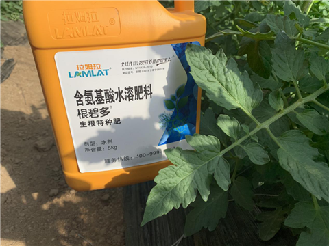 水溶肥，拉姆拉，翠姆