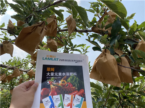 大量元素水溶肥，拉姆拉，翠姆