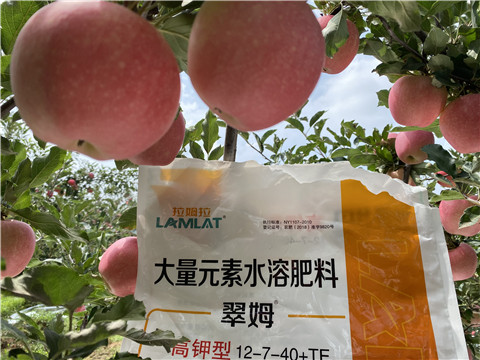 大量元素水溶肥，拉姆拉，翠姆