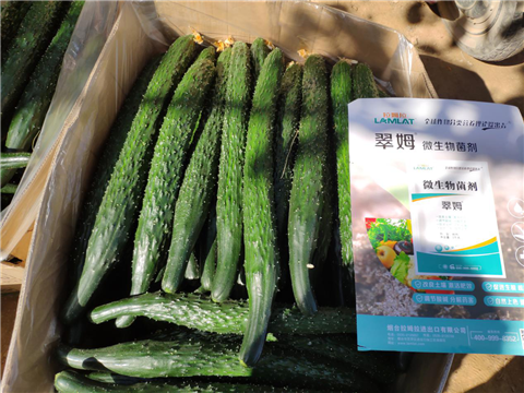 微生物菌劑，拉姆拉，翠姆