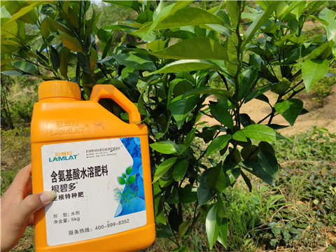 沖施肥，拉姆拉，翠姆
