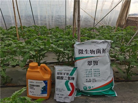 水溶肥，拉姆拉，翠姆