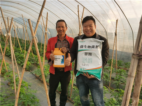 水溶肥，拉姆拉，翠姆