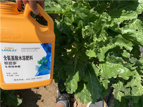 水溶肥，拉姆拉，翠姆