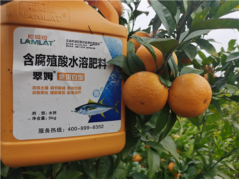水溶肥，拉姆拉，翠姆