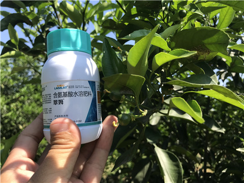 葉面肥，拉姆拉，翠姆