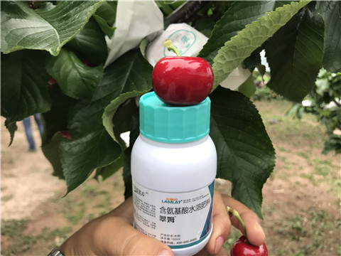 水溶肥，拉姆拉，翠姆