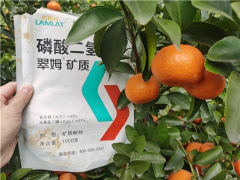 水溶肥，拉姆拉，翠姆