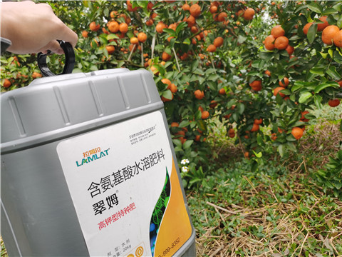 水溶肥，拉姆拉，翠姆