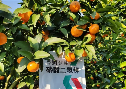 磷酸二氫鉀，拉姆拉，翠姆