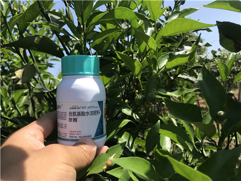 葉面肥，拉姆拉，翠姆