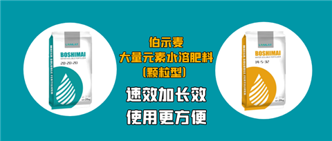 顆粒肥，拉姆拉，翠姆