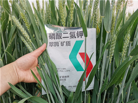 葉面肥，水溶肥，磷酸二氫鉀