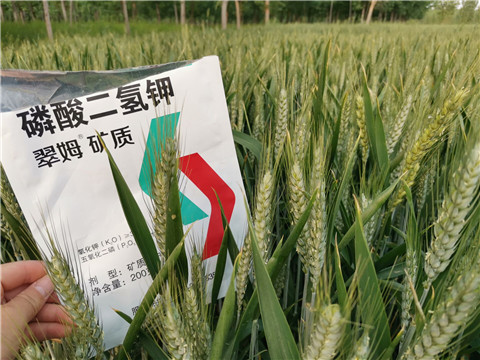 葉面肥，水溶肥，磷酸二氫鉀