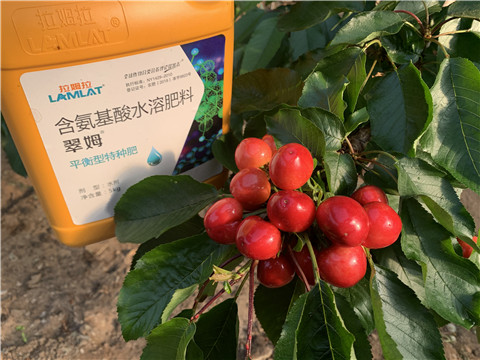 氨基酸水溶肥，拉姆拉，翠姆