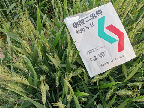 水溶肥，拉姆拉，翠姆