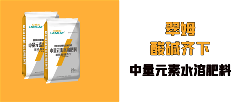 水溶肥，拉姆拉，翠姆