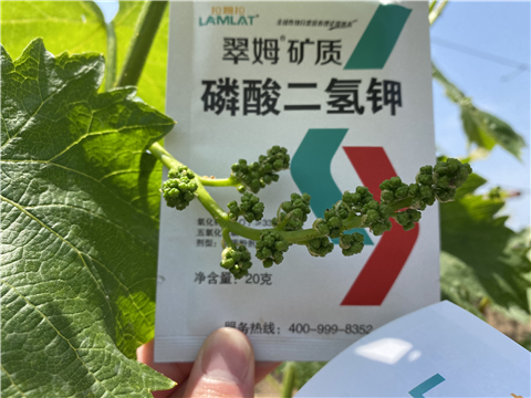 磷酸二氫鉀，拉姆拉，翠姆